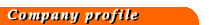 Company profile